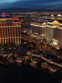 Screenshot №1 pro téma Vegas At Night 240x320