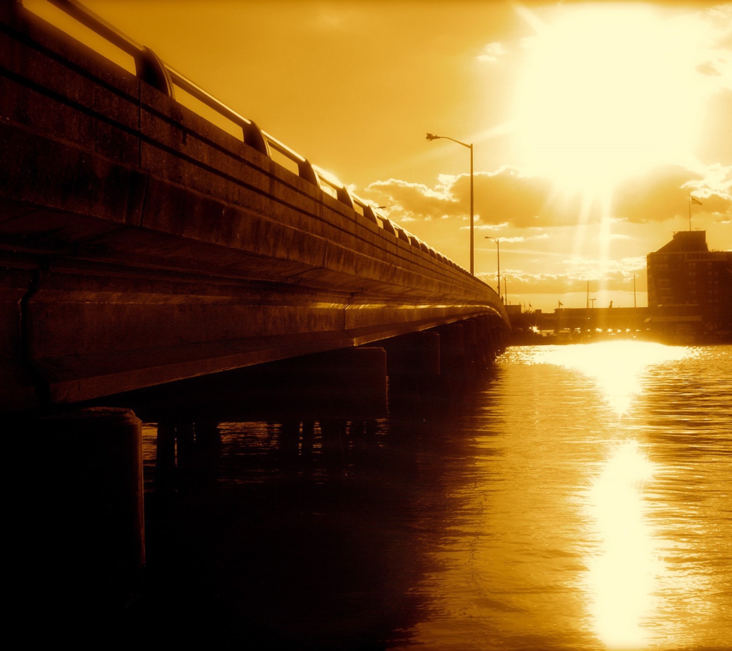 Fondo de pantalla Sunlit Bridge 1440x1280