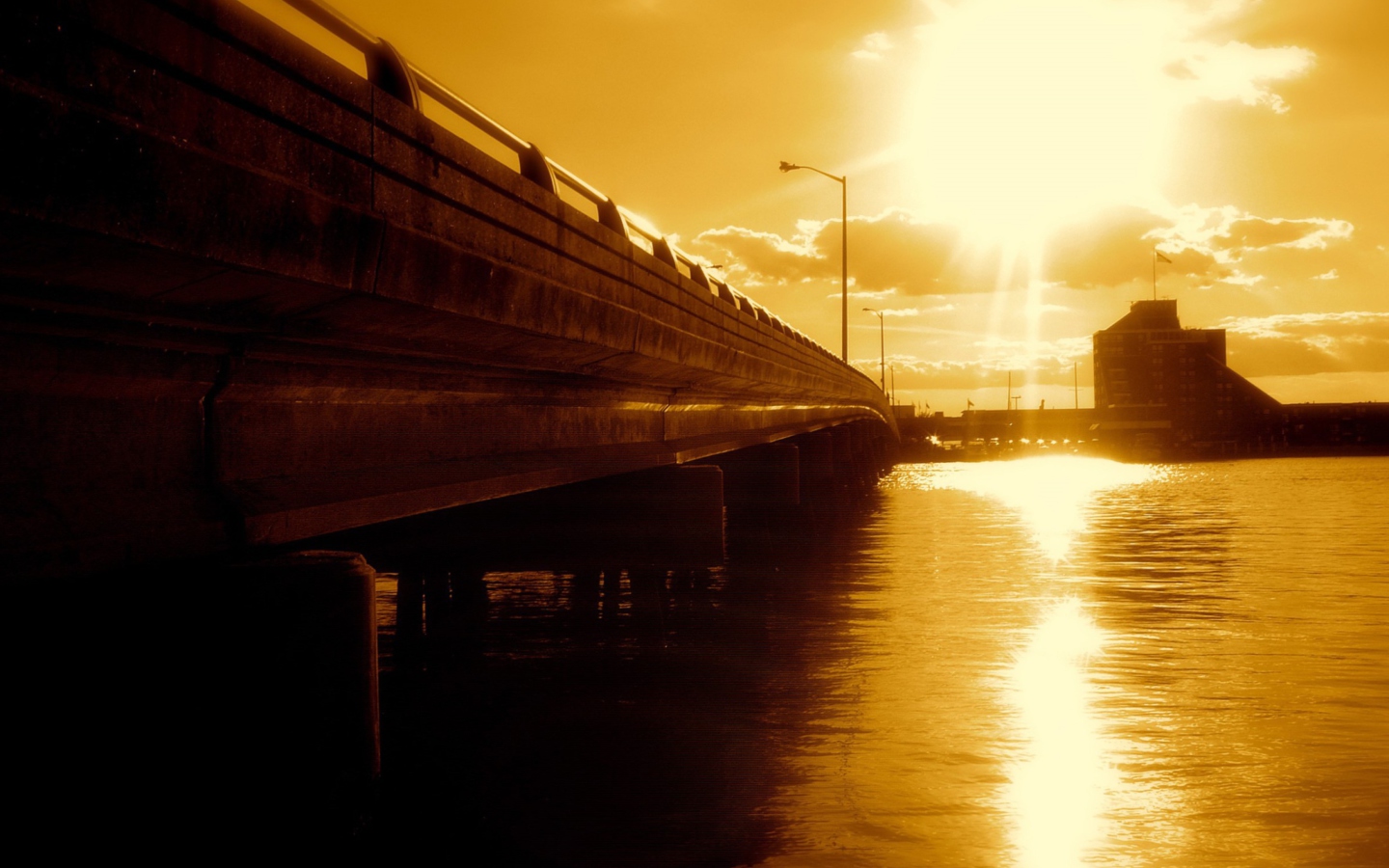 Fondo de pantalla Sunlit Bridge 1440x900