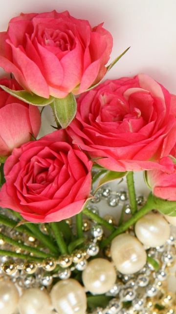 Fondo de pantalla Necklace and Roses Bouquet 360x640
