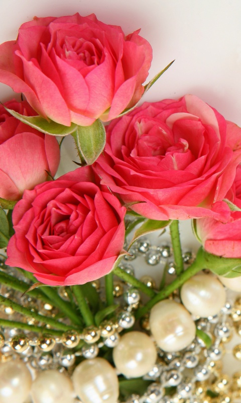 Fondo de pantalla Necklace and Roses Bouquet 480x800