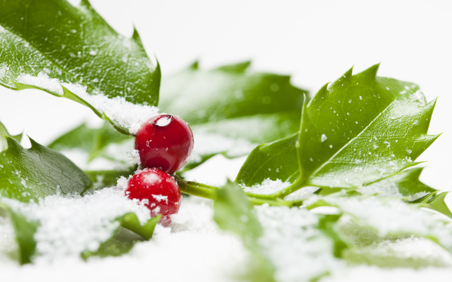 Das Frozen Cranberries Wallpaper 1440x900
