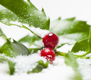 Frozen Cranberries - Obrázkek zdarma pro iPad Air