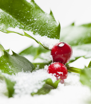 Frozen Cranberries - Obrázkek zdarma pro 176x220