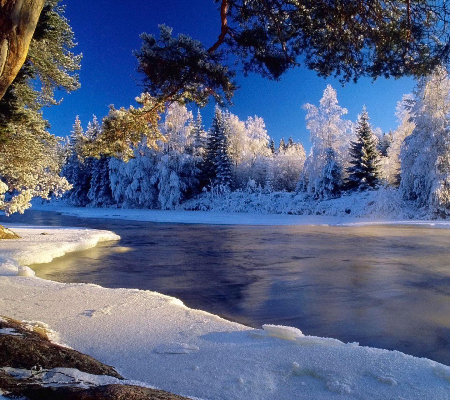 Обои Winter Wallpaper 1440x1280