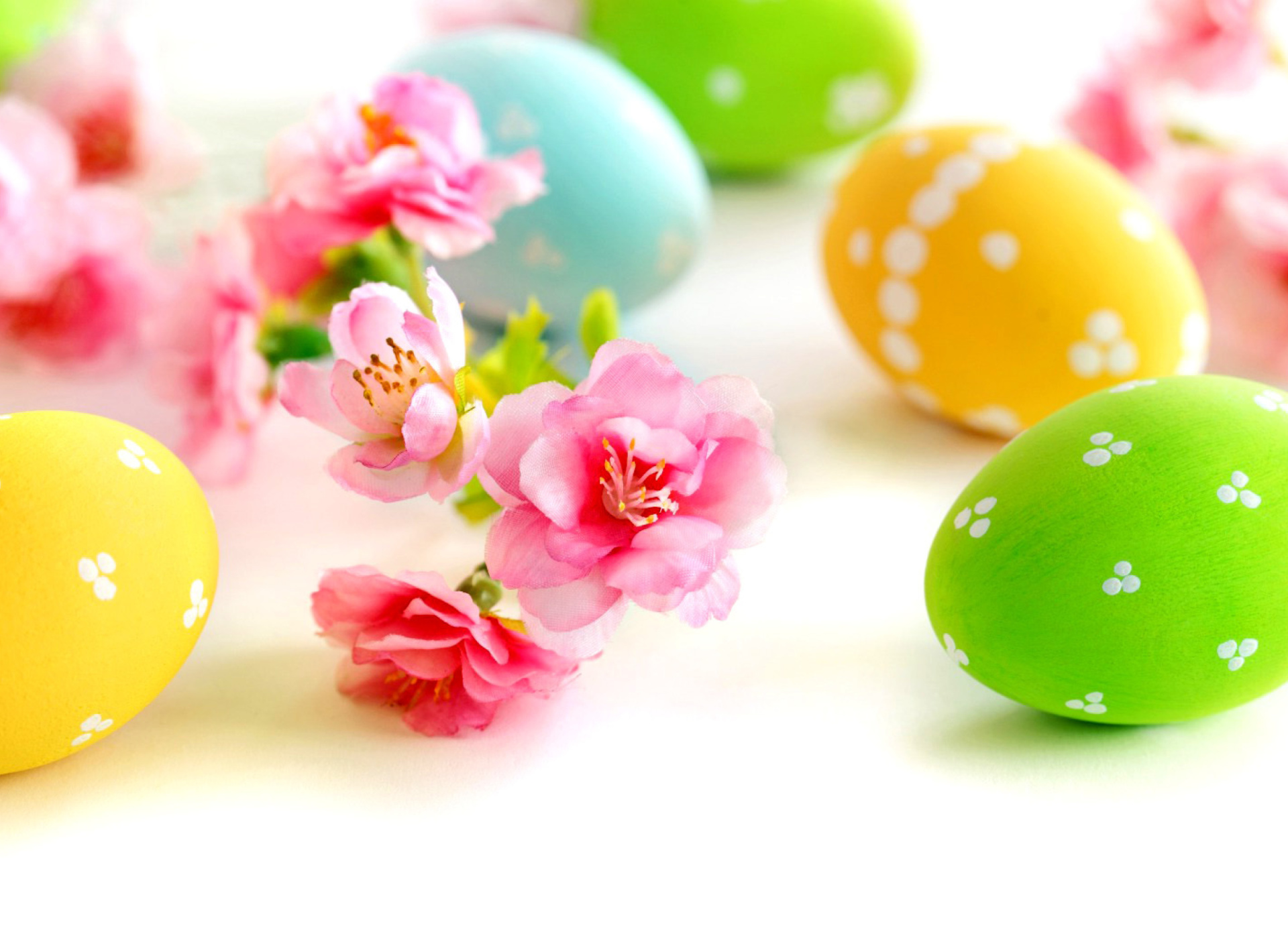 Easter Eggs and Spring Flowers wallpaper 1920x1408