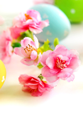 Обои Easter Eggs and Spring Flowers 320x480