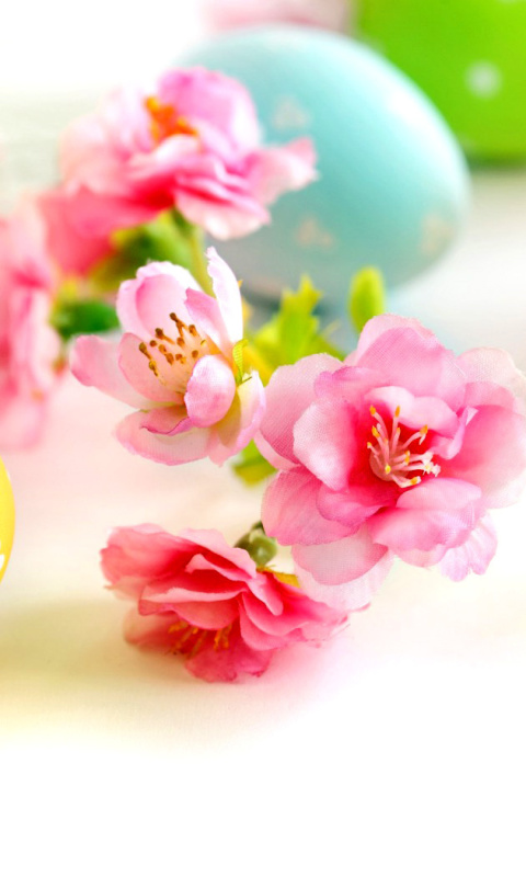 Easter Eggs and Spring Flowers wallpaper 480x800