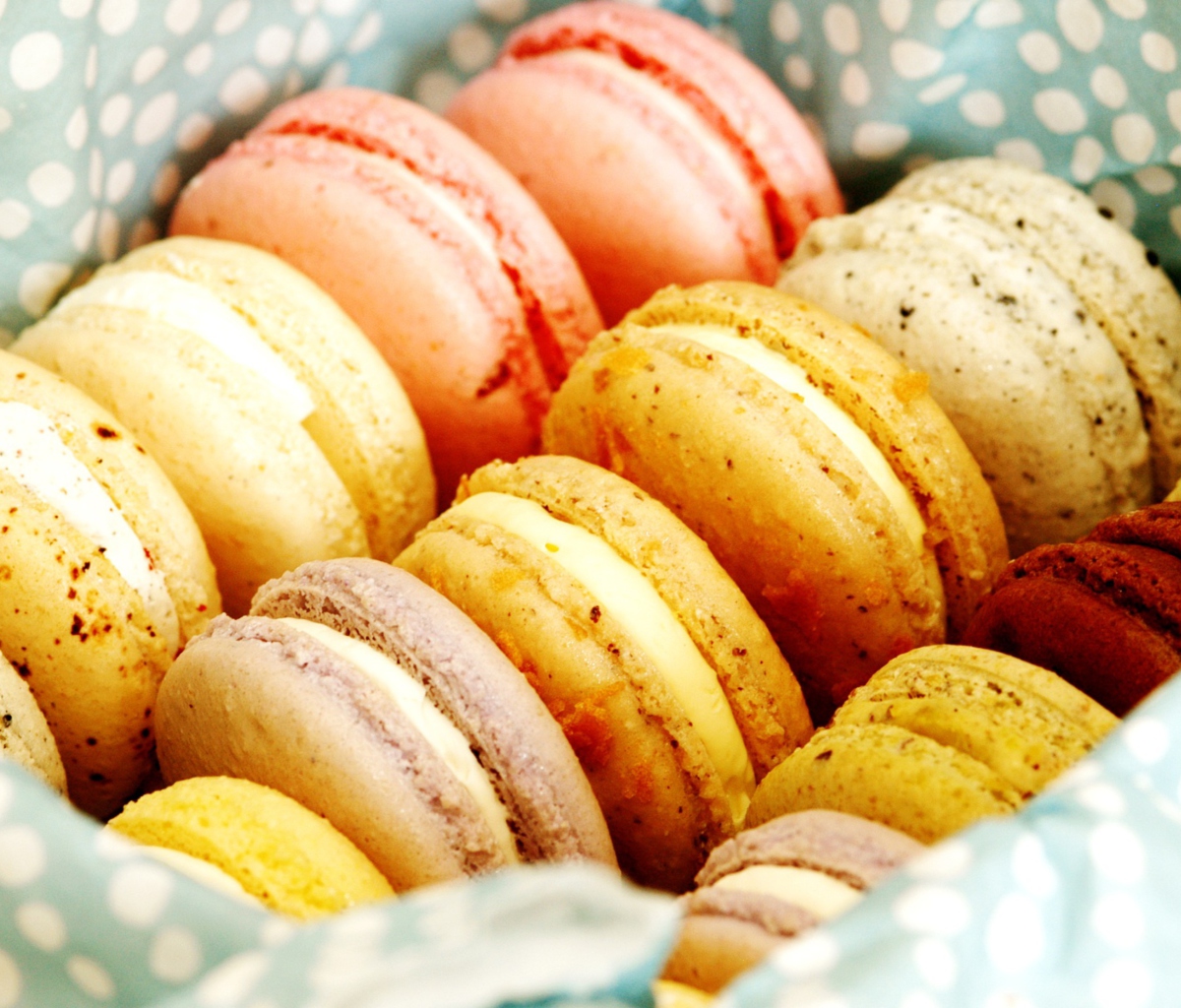 Обои Macarons 1200x1024