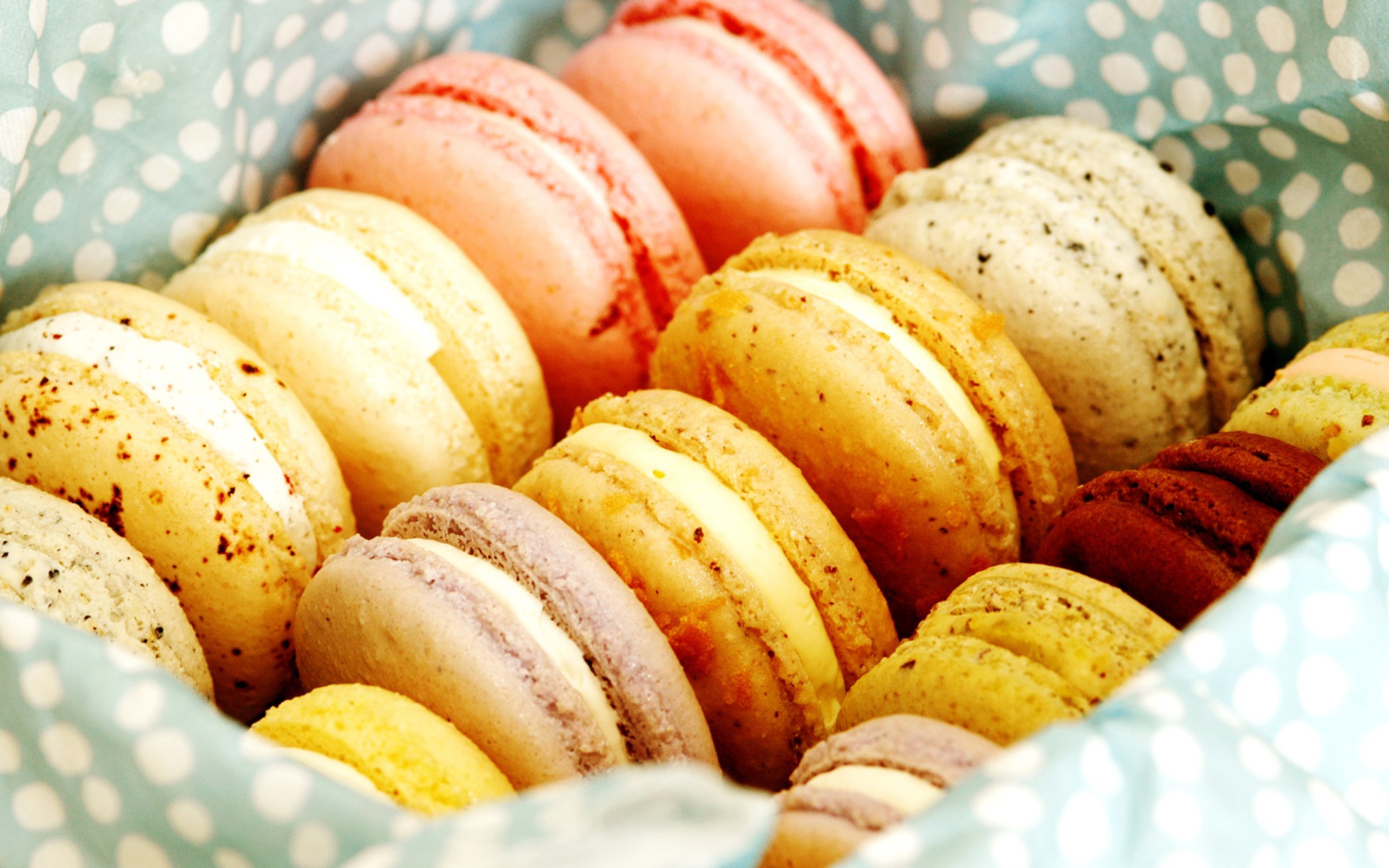 Macarons screenshot #1 2560x1600