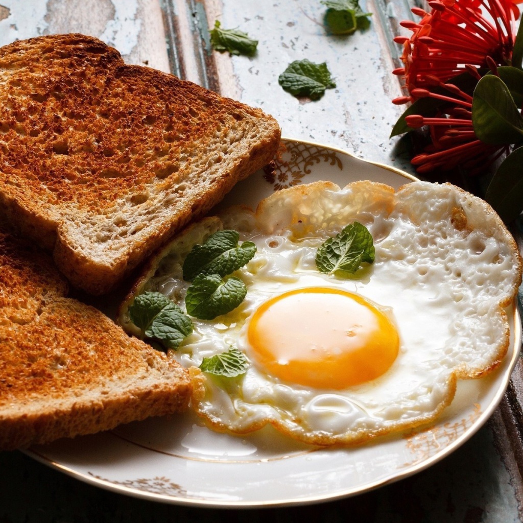 Обои Breakfast with toast and scrambled eggs 1024x1024