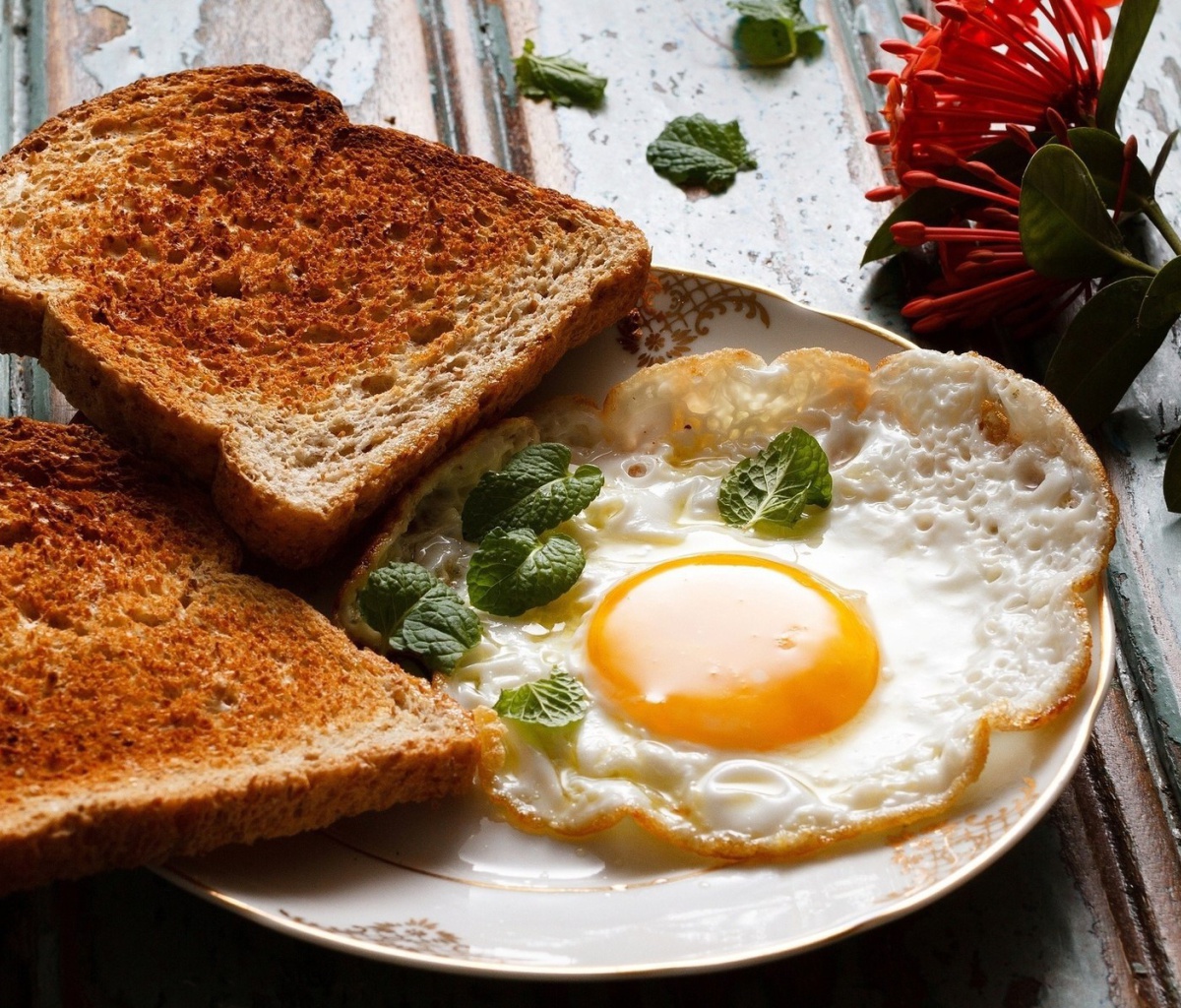 Sfondi Breakfast with toast and scrambled eggs 1200x1024