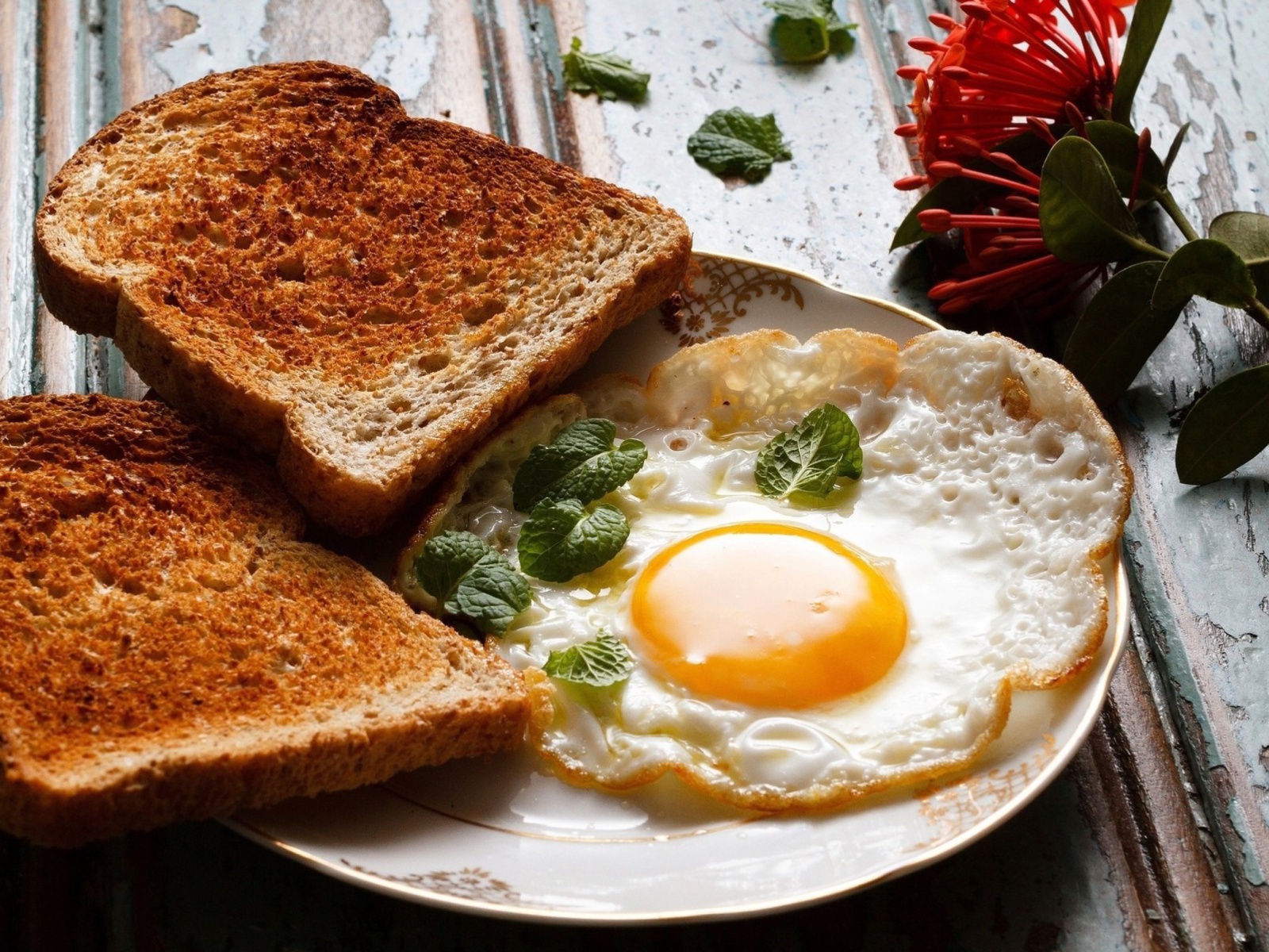 Breakfast with toast and scrambled eggs wallpaper 1600x1200