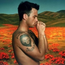 Das Robbie Williams Wallpaper 128x128