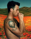 Das Robbie Williams Wallpaper 128x160