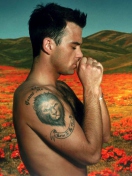 Das Robbie Williams Wallpaper 132x176