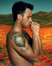 Das Robbie Williams Wallpaper 176x220