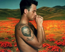 Das Robbie Williams Wallpaper 220x176