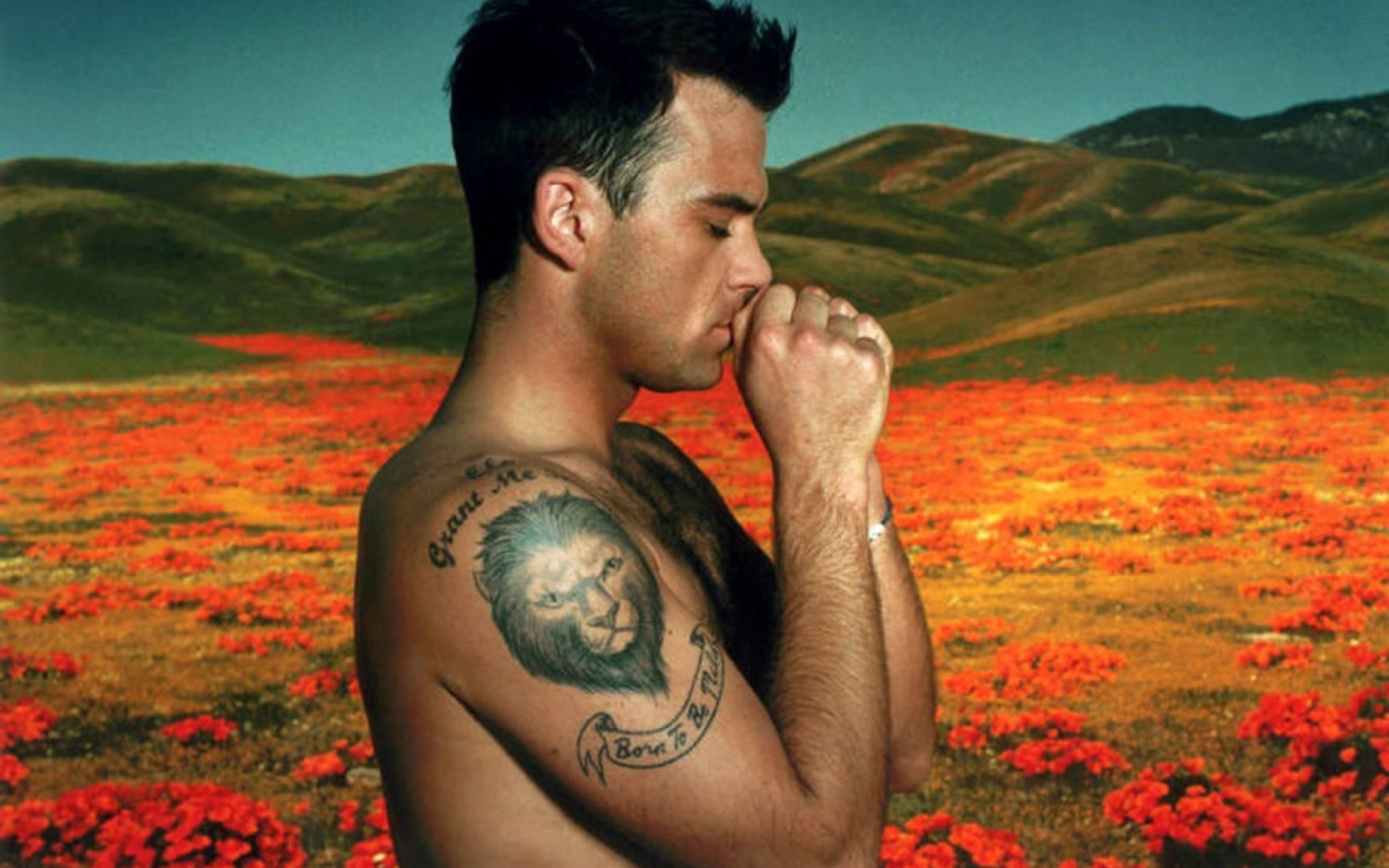Das Robbie Williams Wallpaper 2560x1600