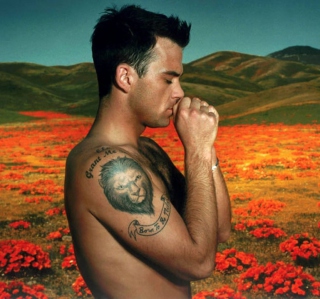Robbie Williams - Obrázkek zdarma pro iPad