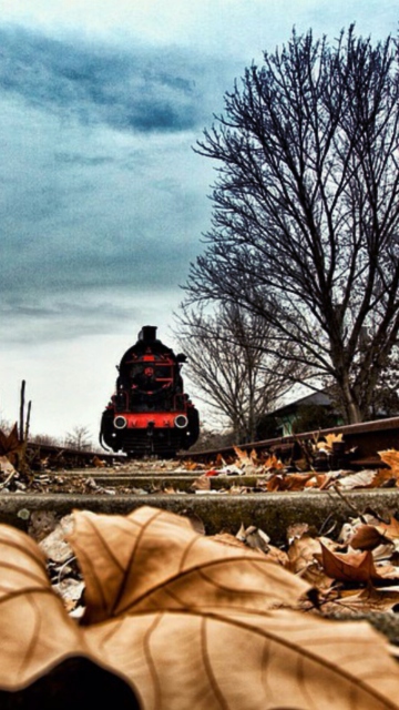 Train On Railroad Tracks screenshot #1 360x640