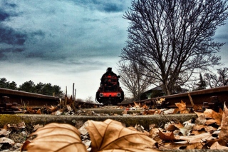Train On Railroad Tracks Picture for Android, iPhone and iPad