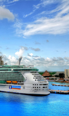 Fondo de pantalla Royal Caribbean Cruise 240x400