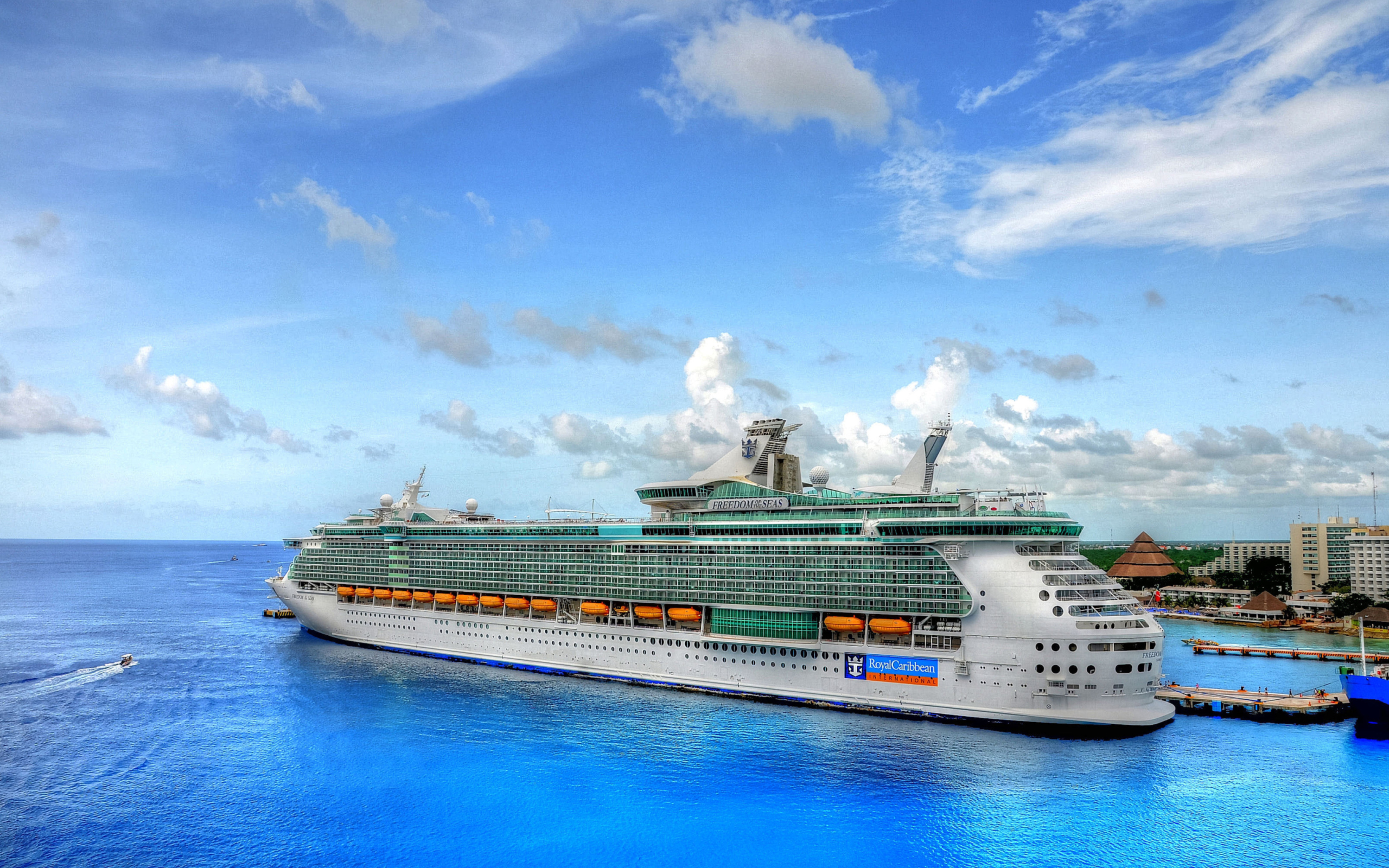 Das Royal Caribbean Cruise Wallpaper 2560x1600