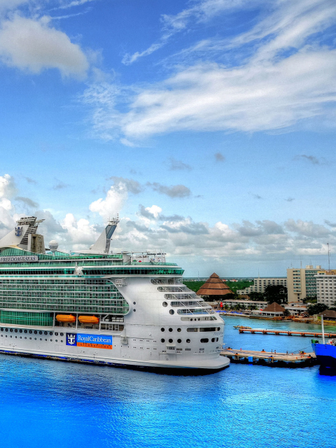 Royal Caribbean Cruise screenshot #1 480x640