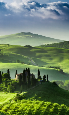 San Quirico d'Orcia, Tuscany, Italy screenshot #1 240x400