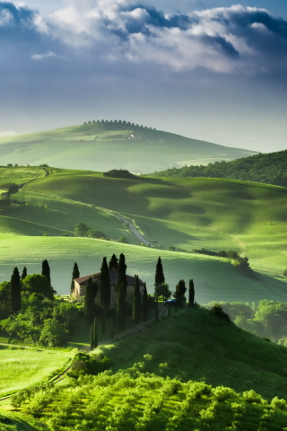 San Quirico d'Orcia, Tuscany, Italy screenshot #1 320x480