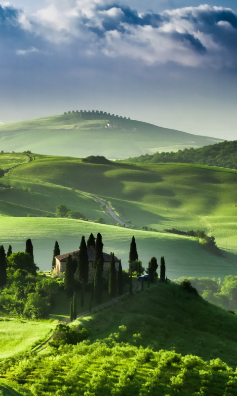San Quirico d'Orcia, Tuscany, Italy screenshot #1 480x800