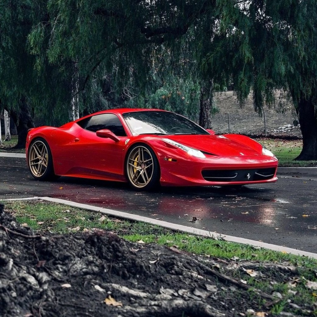 Обои Ferrari Enzo after Rain 1024x1024