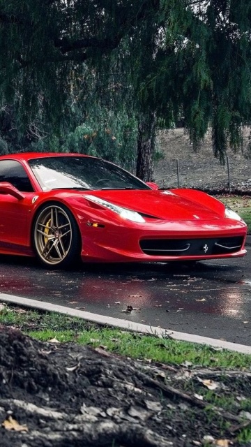 Fondo de pantalla Ferrari Enzo after Rain 360x640