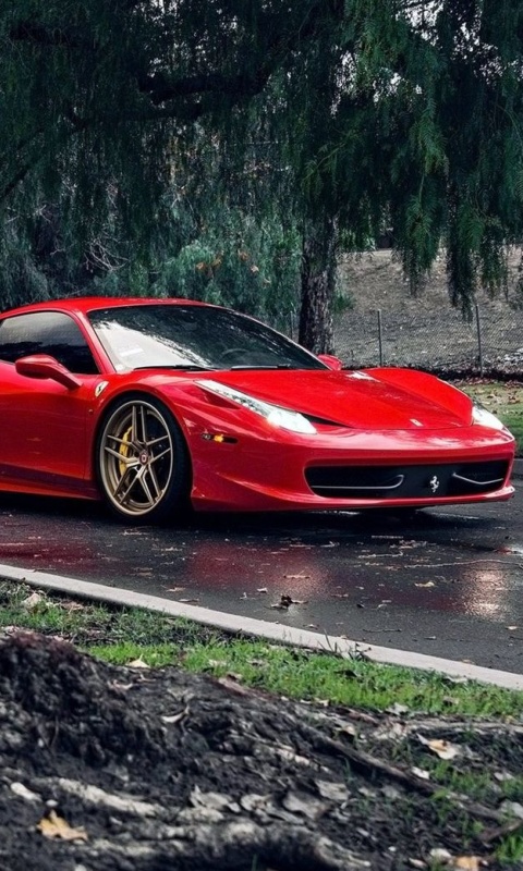 Обои Ferrari Enzo after Rain 480x800