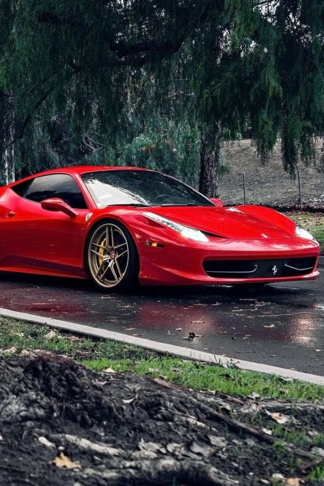 Fondo de pantalla Ferrari Enzo after Rain 640x960
