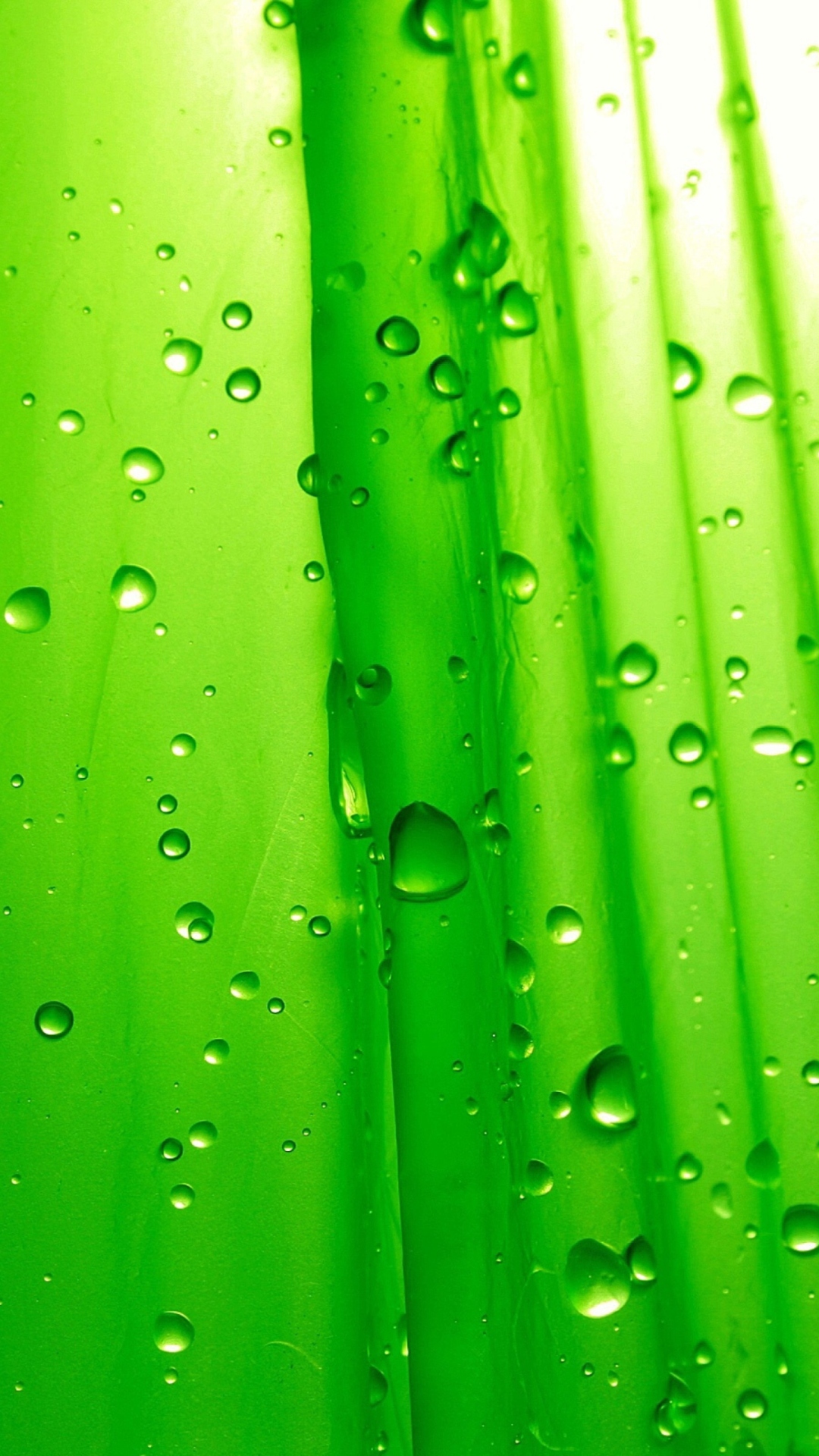 Sfondi Green Drops Of Rain 1080x1920