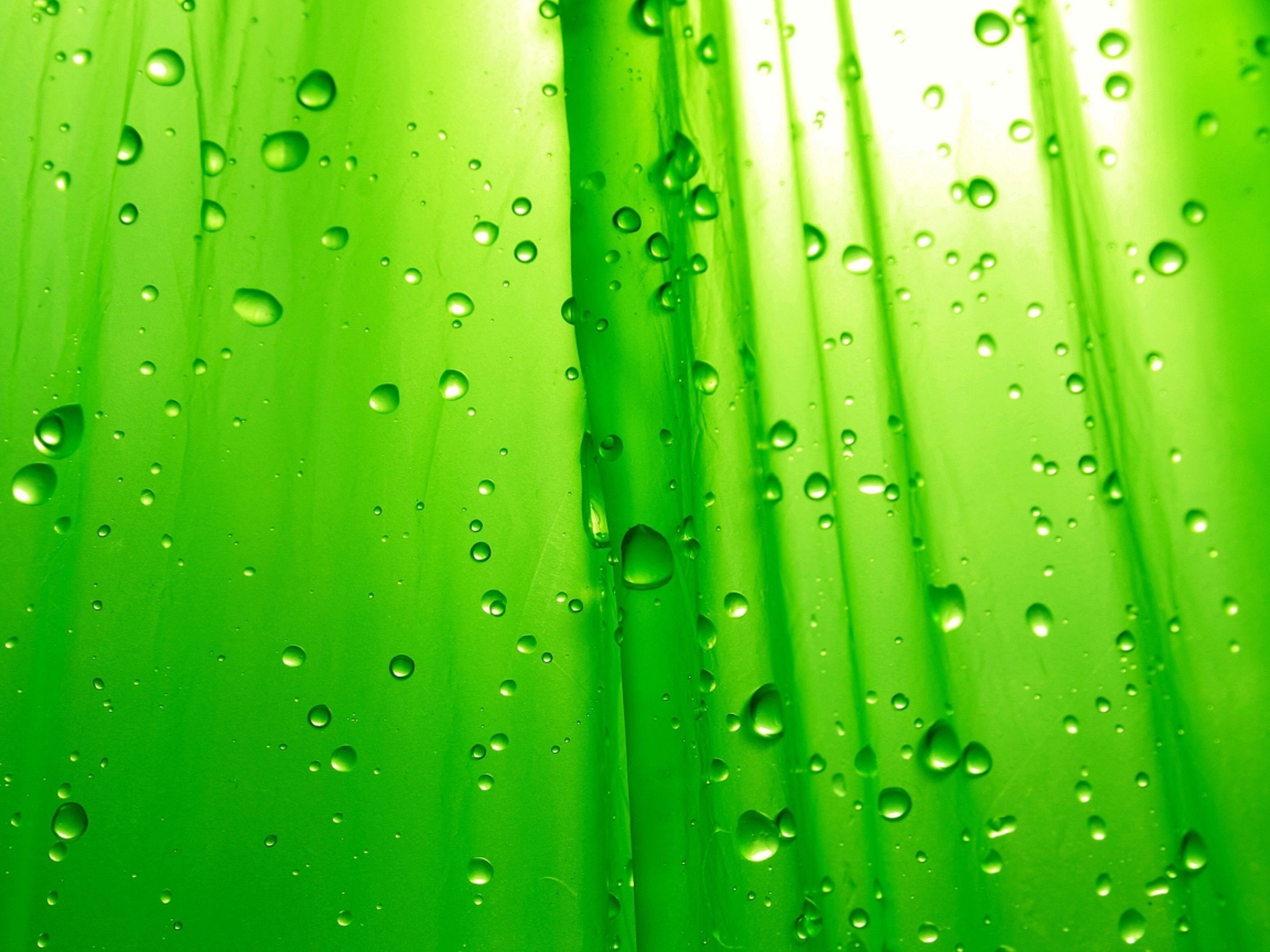 Fondo de pantalla Green Drops Of Rain 1152x864