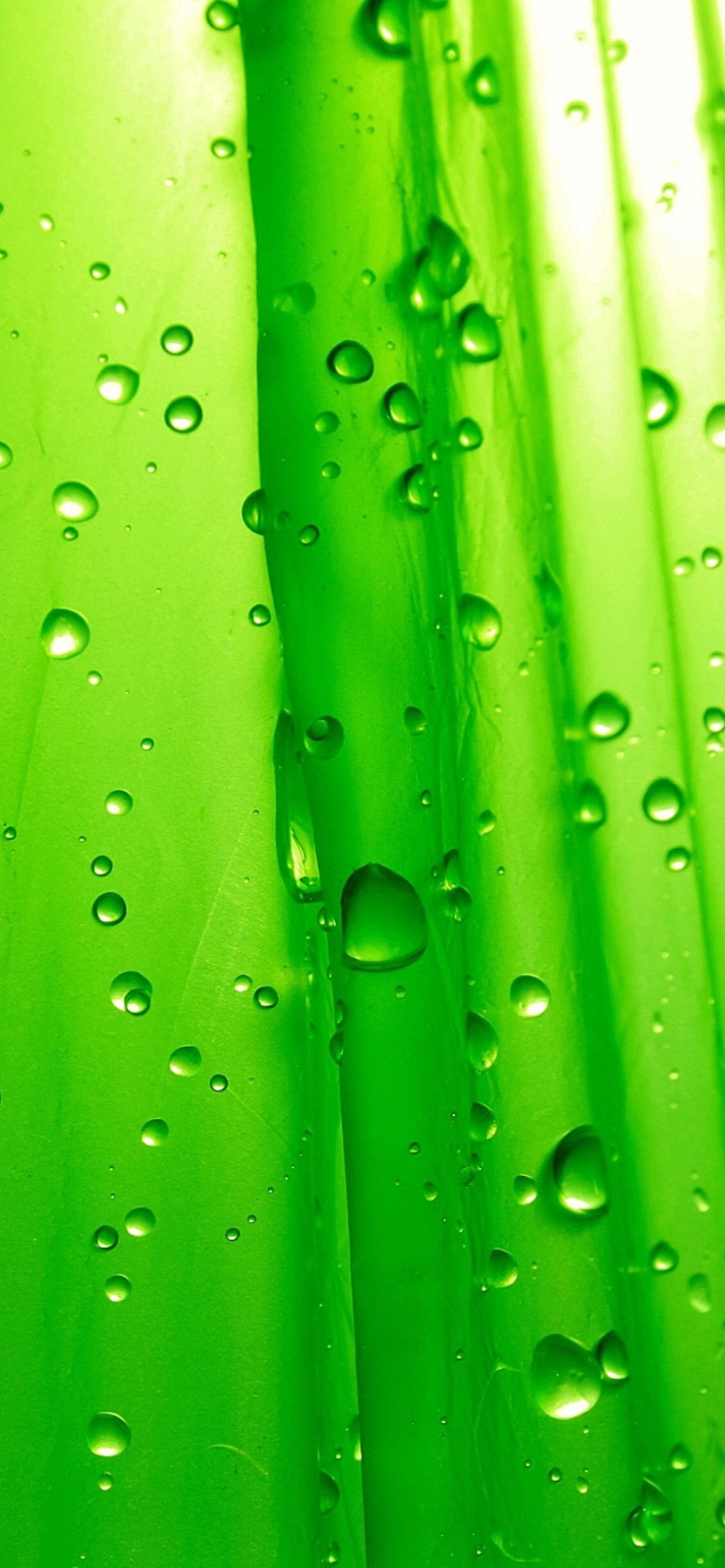 Screenshot №1 pro téma Green Drops Of Rain 1170x2532