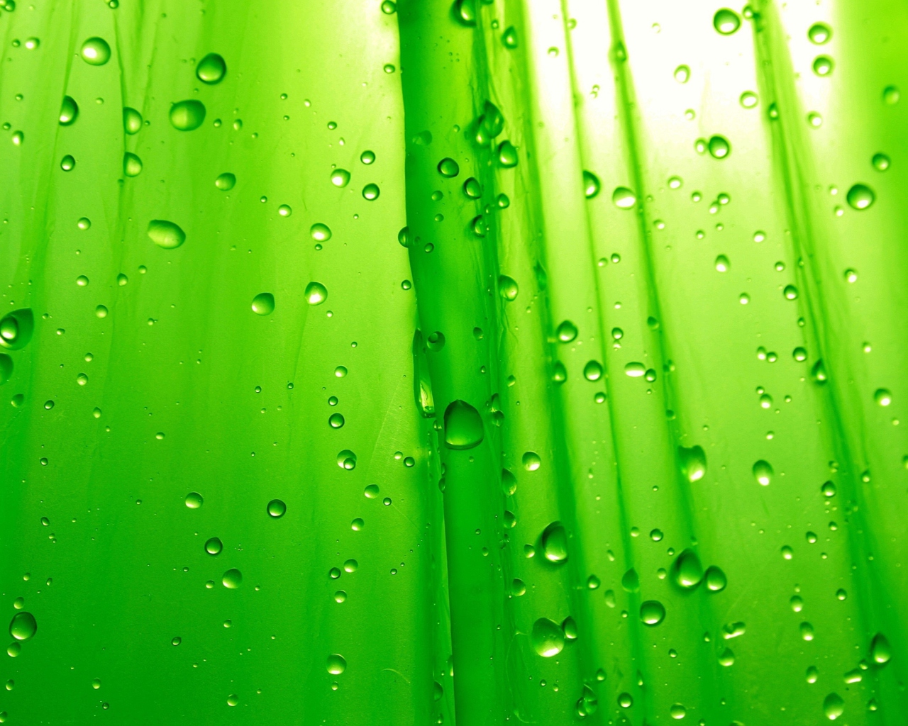 Screenshot №1 pro téma Green Drops Of Rain 1280x1024