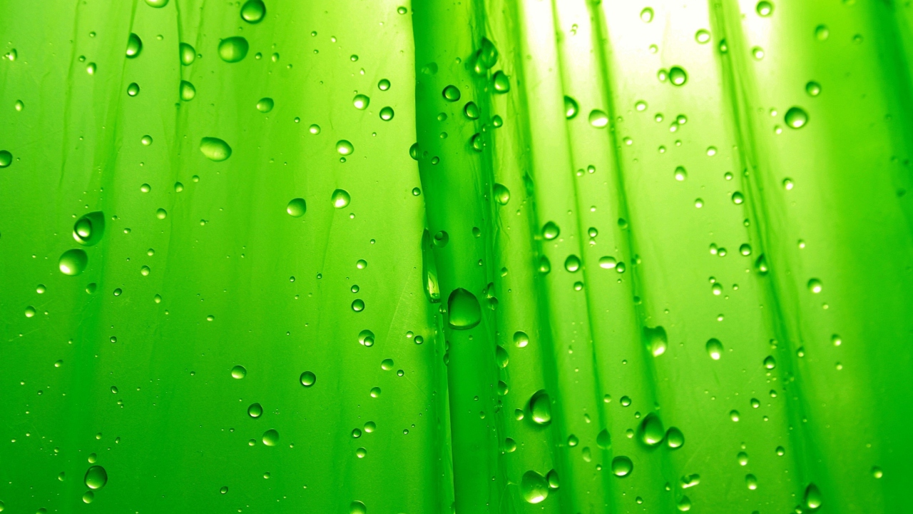 Green Drops Of Rain screenshot #1 1280x720