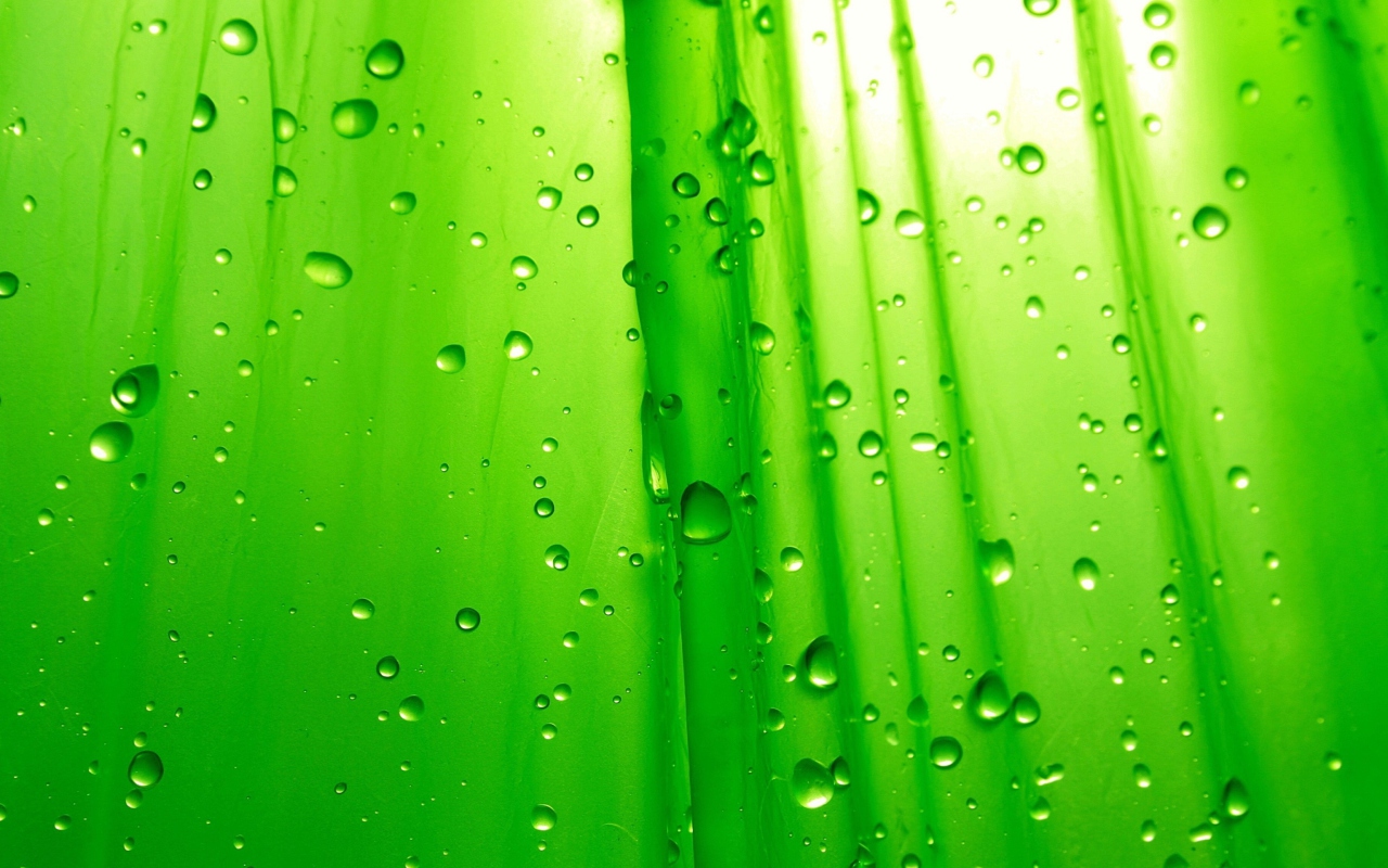 Screenshot №1 pro téma Green Drops Of Rain 1280x800