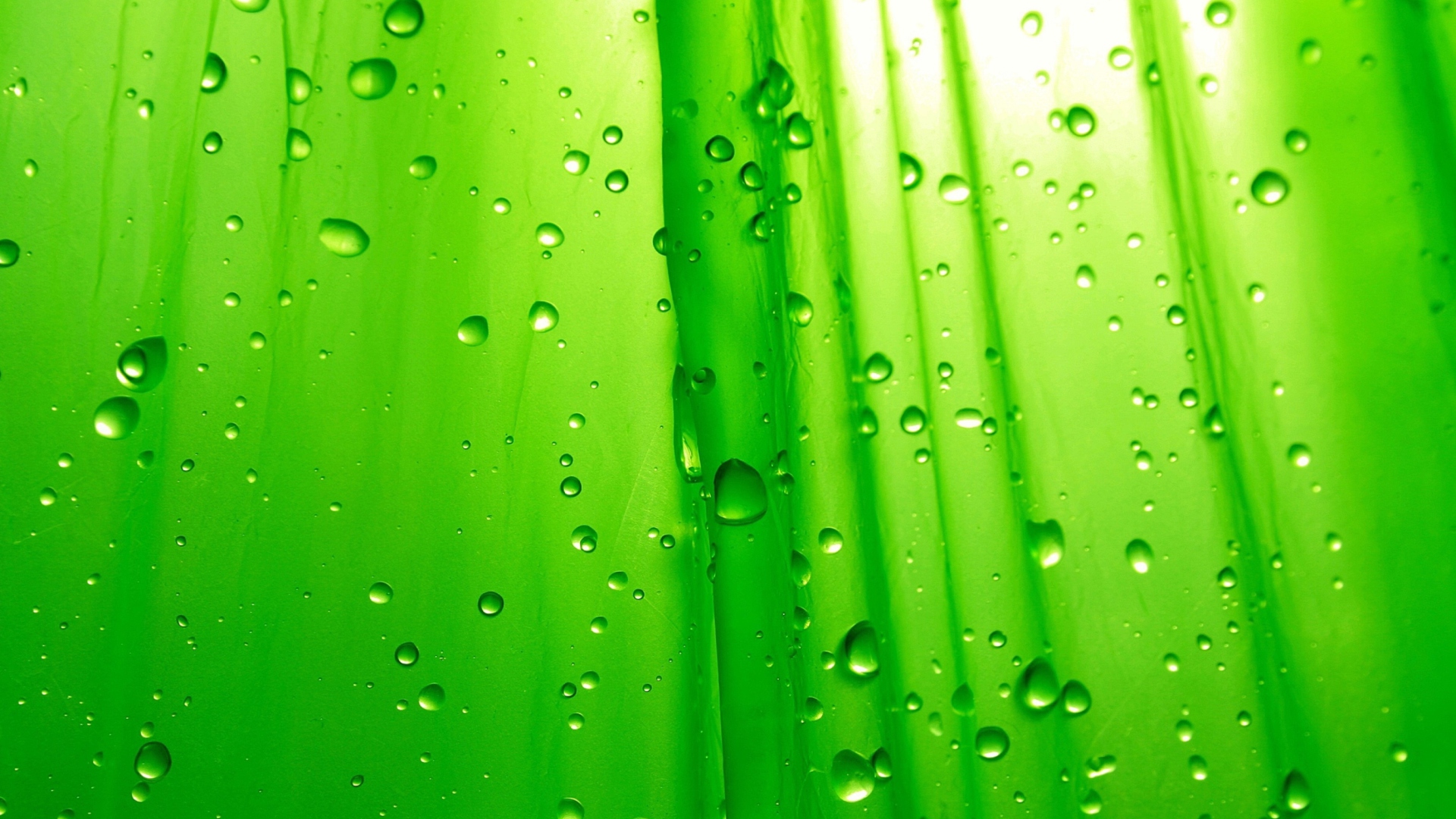 Sfondi Green Drops Of Rain 1920x1080