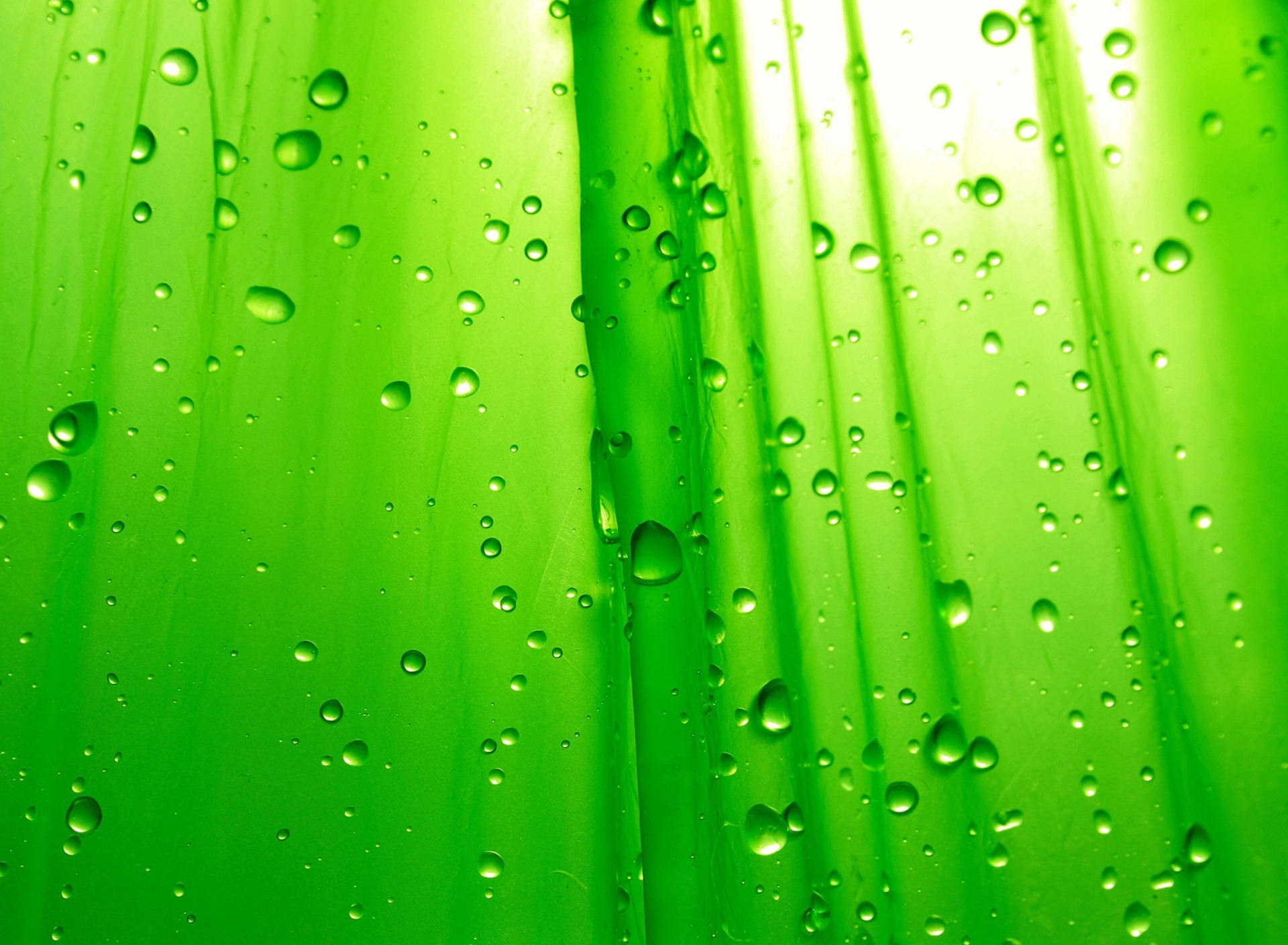 Обои Green Drops Of Rain 1920x1408