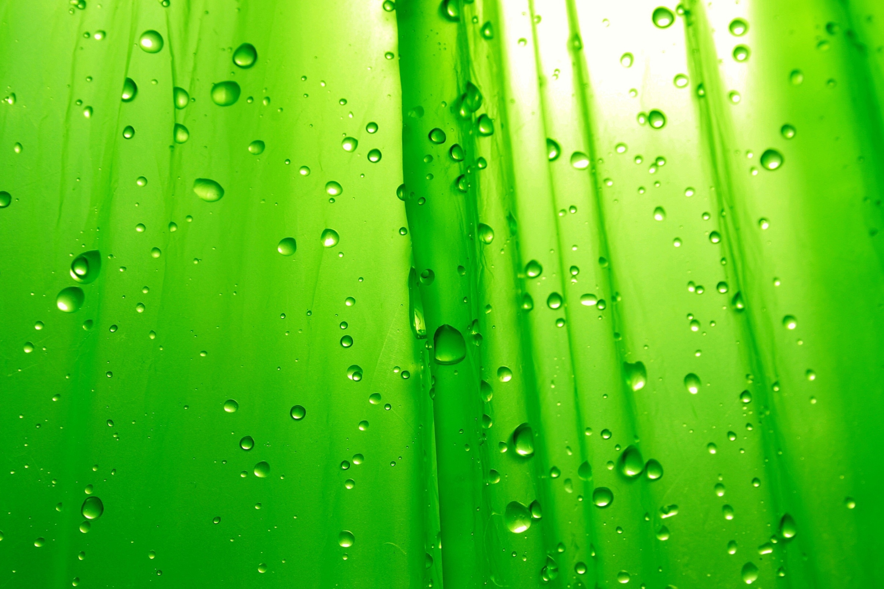 Green Drops Of Rain wallpaper 2880x1920