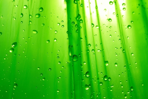 Fondo de pantalla Green Drops Of Rain 480x320