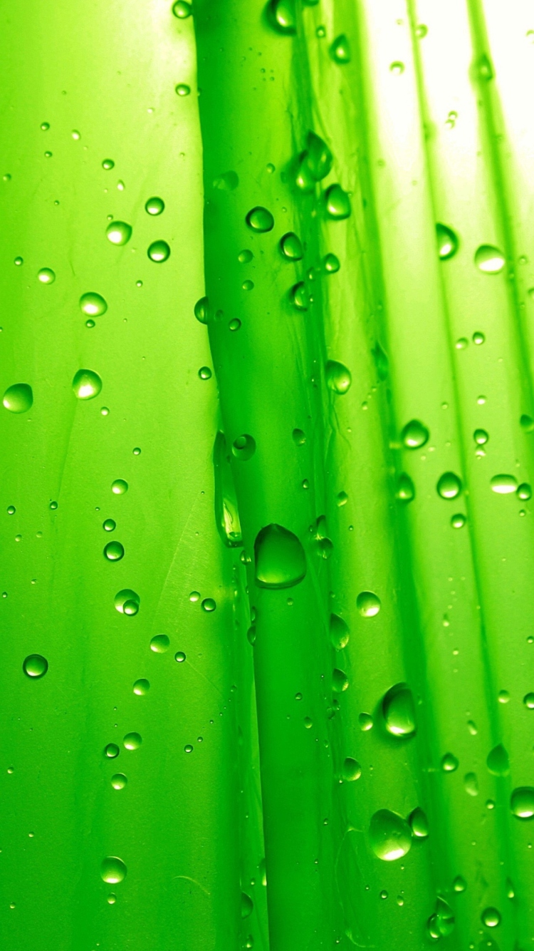 Fondo de pantalla Green Drops Of Rain 750x1334