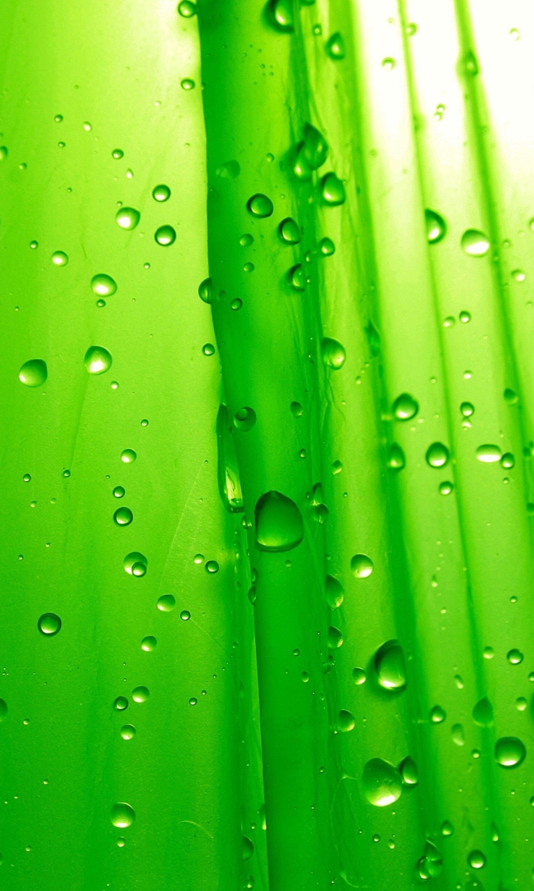 Screenshot №1 pro téma Green Drops Of Rain 768x1280