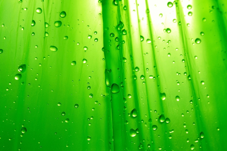 Обои Green Drops Of Rain