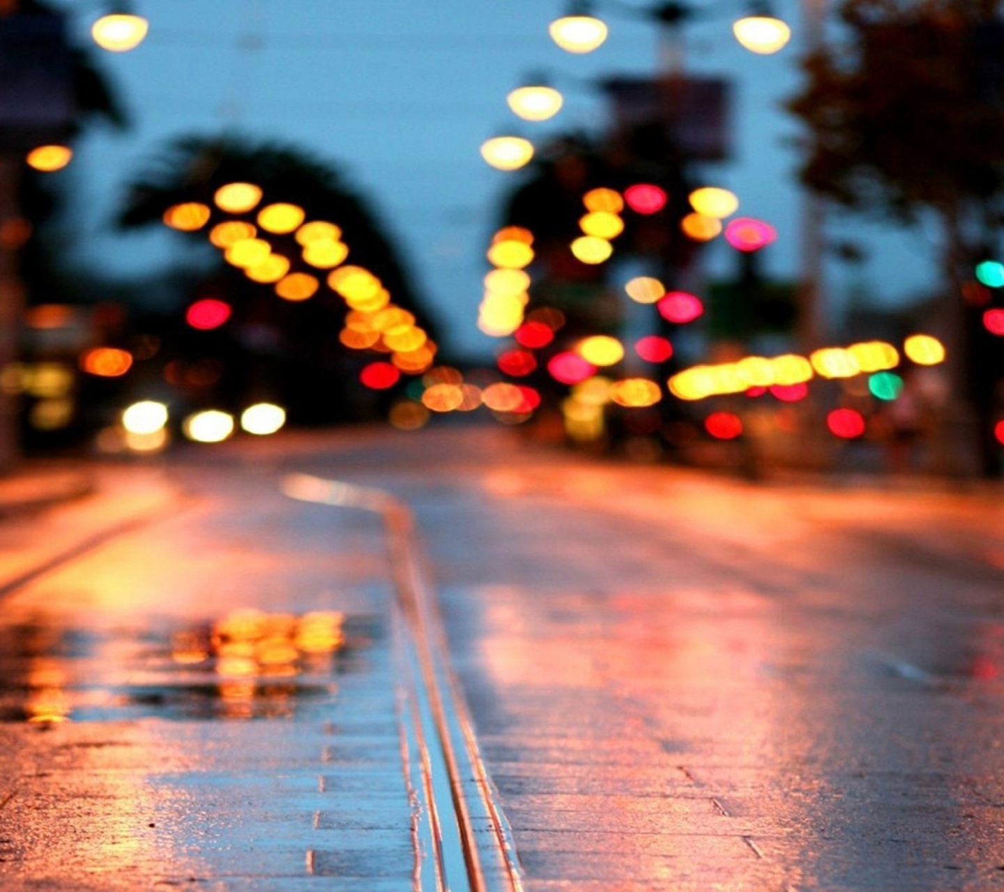 Sfondi City Lights After Rain 1440x1280